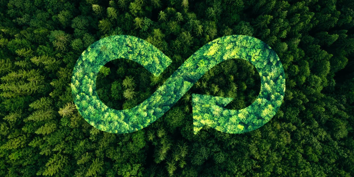 Leading Garment Exporters in India, Indian Exporters, Green Garments, Exporters of Clothing to Germany, Garment Exports from India, Silk Appeal